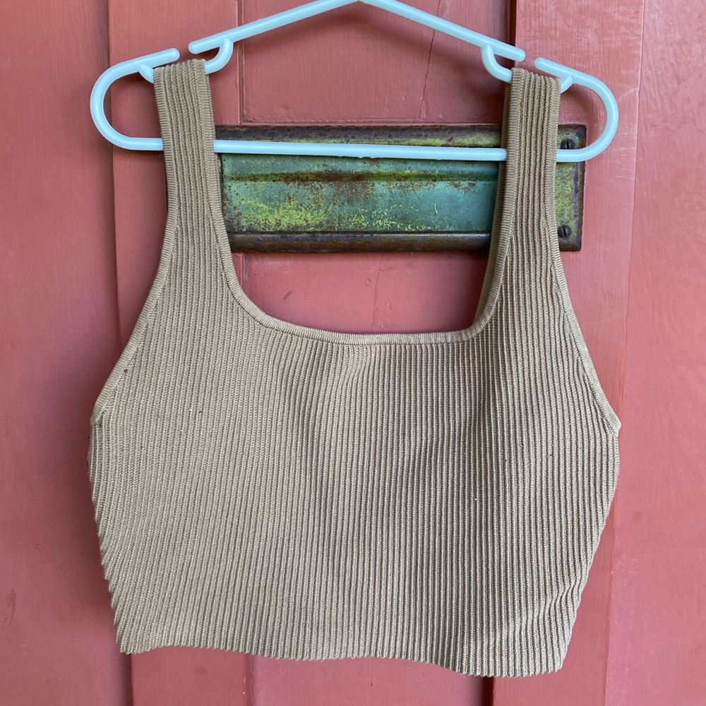 Babaton sculpt knit crop top